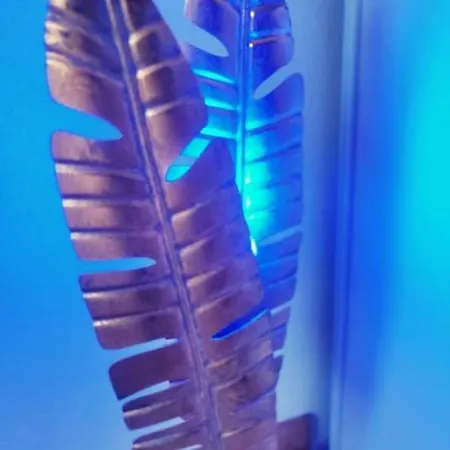 Daire T2 Confortable 31m2 Piscine Terrasse Vue Degagee Montagne Ignaux